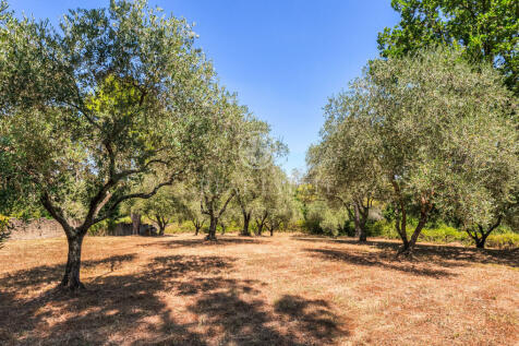 Panorama e Particolari