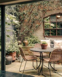 Patio Garden