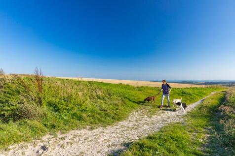 Surrey Hills