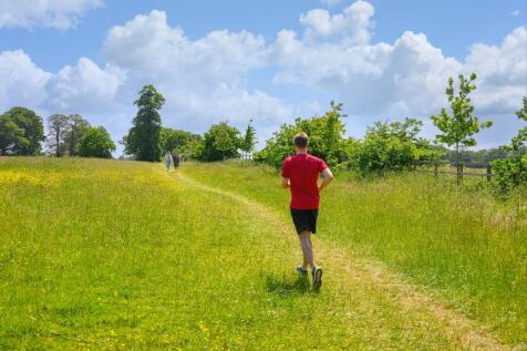 Country park