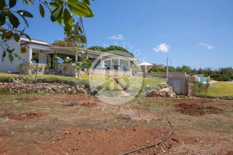 damico villa 24 05 24