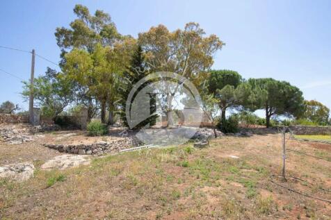 damico villa 24 05 24