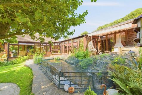Rear of Property