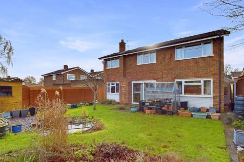 Rear of Property