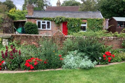 Garden in Bloom