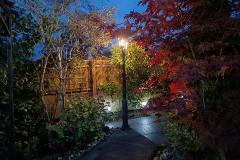 Night Time Garden