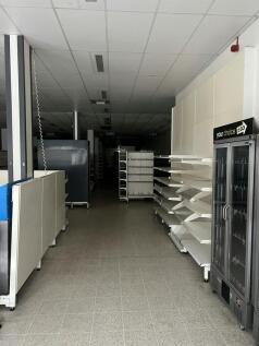 IMG_2737.jpg