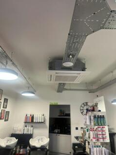 IMG_3259.JPEG