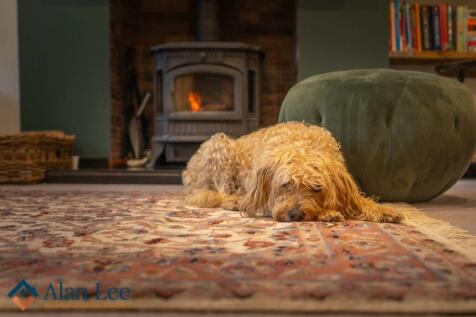 Log burner