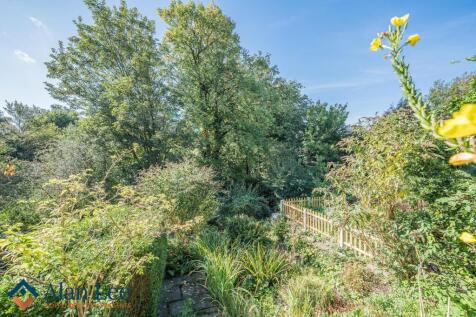 Mature Garden