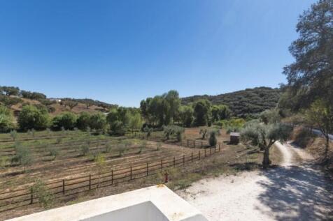 Property Image 69