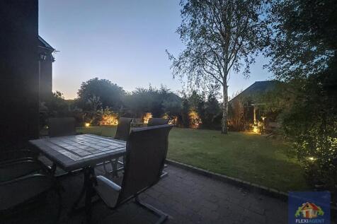 Night time Back Garden