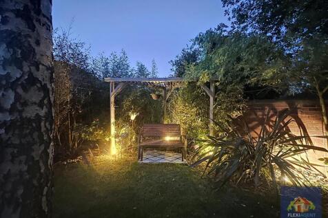 Night time Back Garden