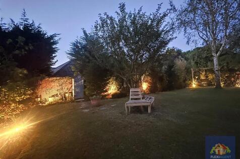 Night time Back Garden