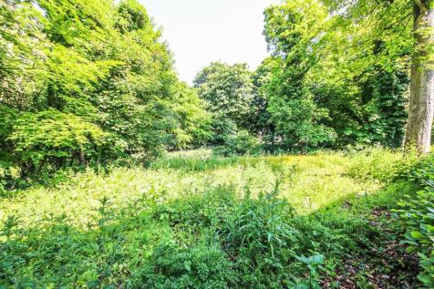 Property Image 54