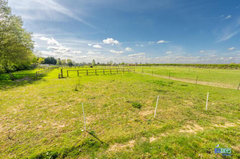 Field