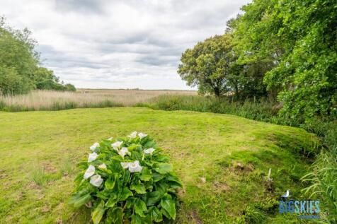 Communal Garden View