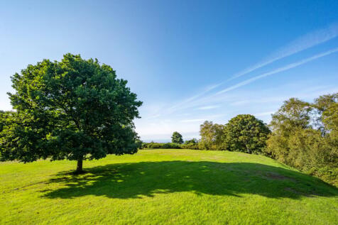 Grounds