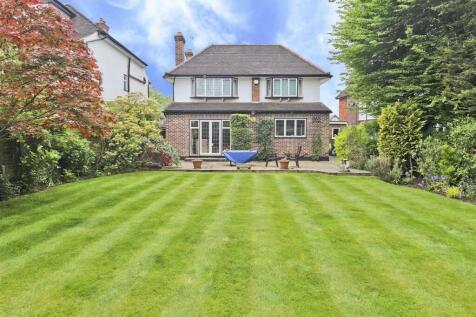 Back Garden