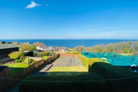 Back Garden