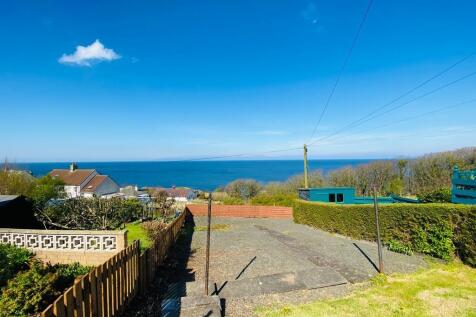 Back Garden 