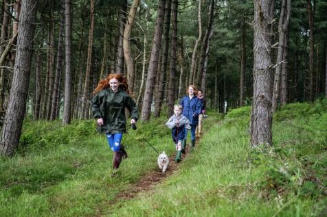 belwood oaks, penicuik