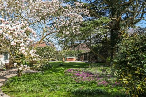 Property Image 33