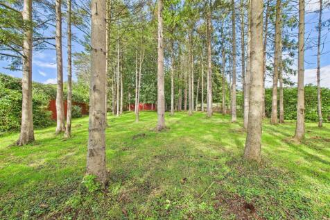 Property Image 26