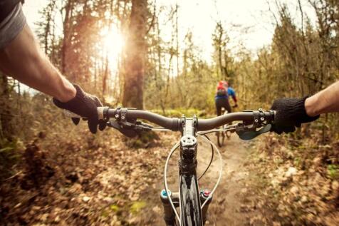 mountainbike.jpg