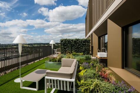 Roof Terrace