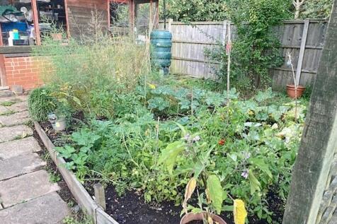 Kitchen Garden