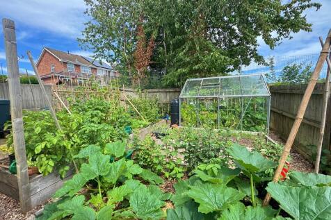 Greenhouse and Ra...