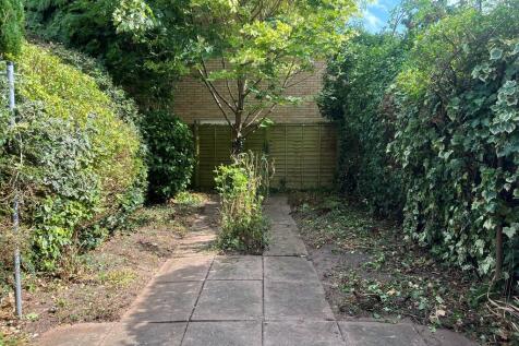Back Garden