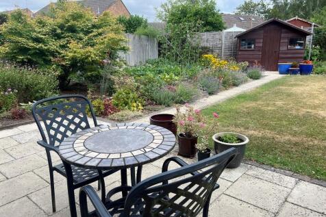 Patio and Back Ga...