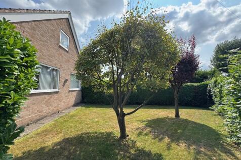 Rear of Property