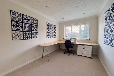 Hobby or Family R...