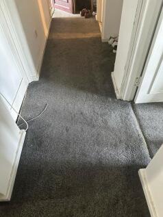 IMG-20240805-WA00...