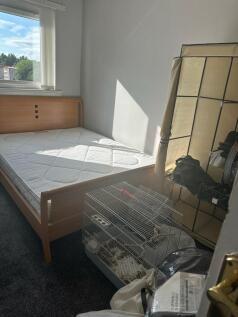 IMG-20240805-WA00...