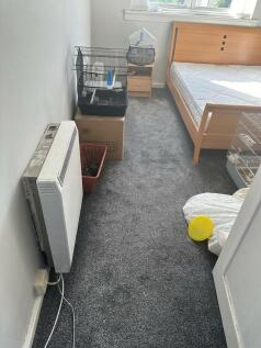 IMG-20240805-WA00...
