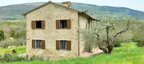 Property Image 36