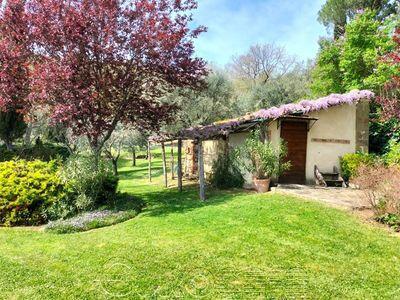 Property Image 39