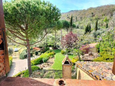 Property Image 46