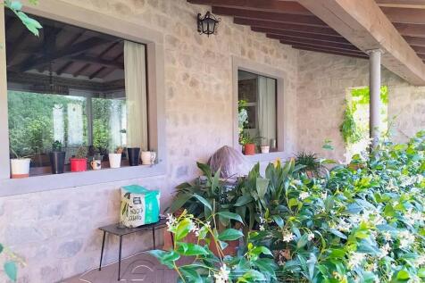 Property Image 61
