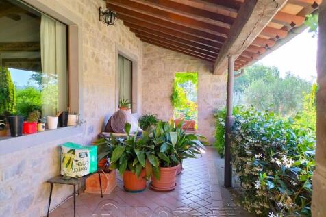 Property Image 62