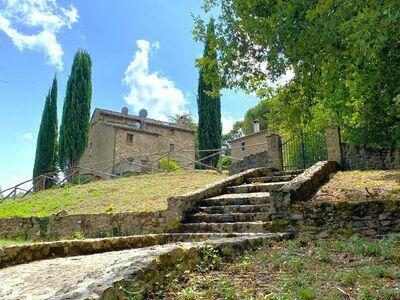Property Image 68