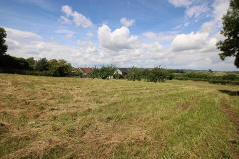 Paddock and view