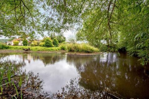 Pond