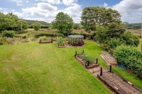 Vegetable garden