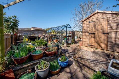 Shed and greenhouse