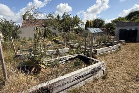 Raised vegetable beds